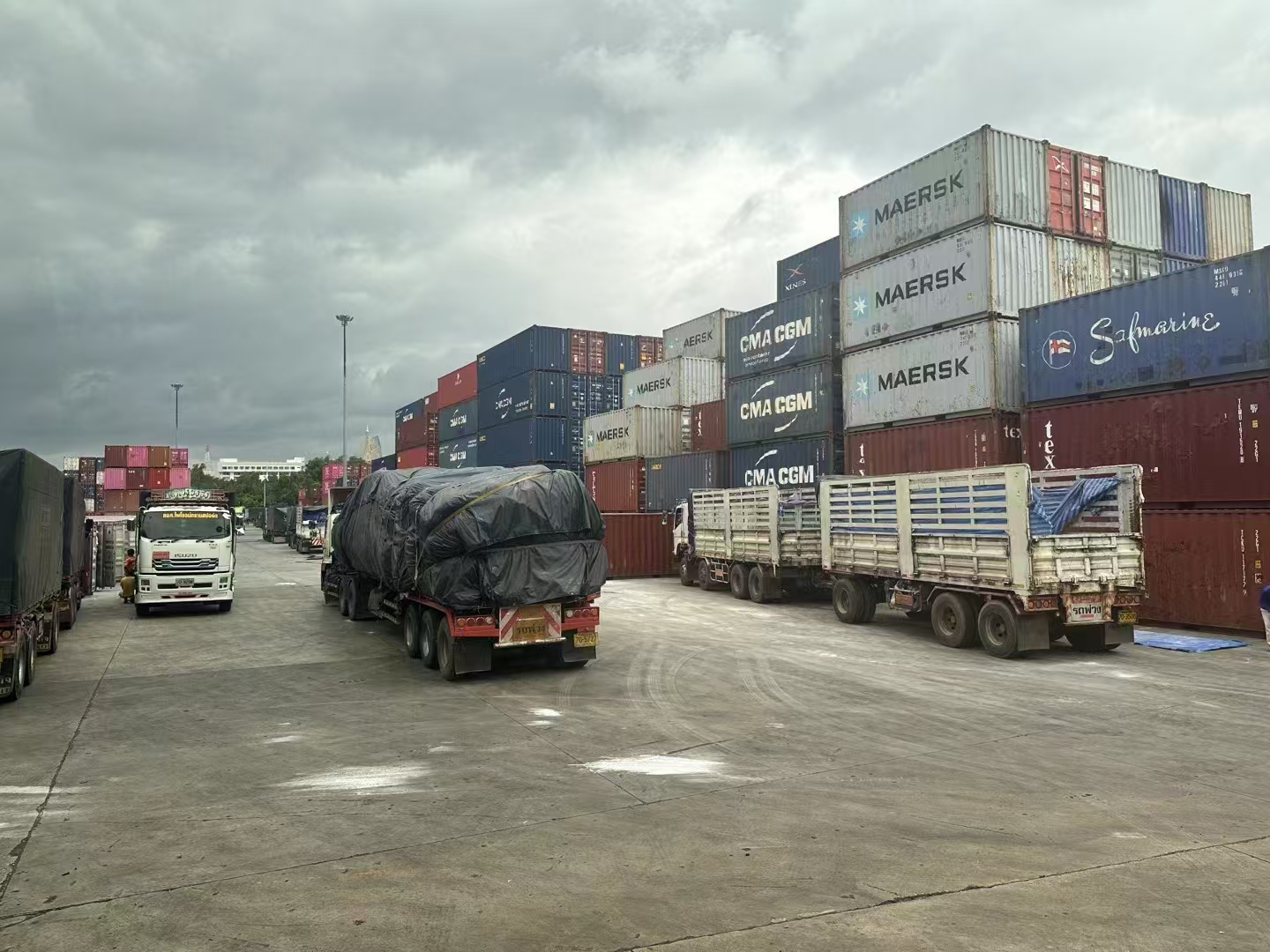 木薯产业考察团参观曼谷港