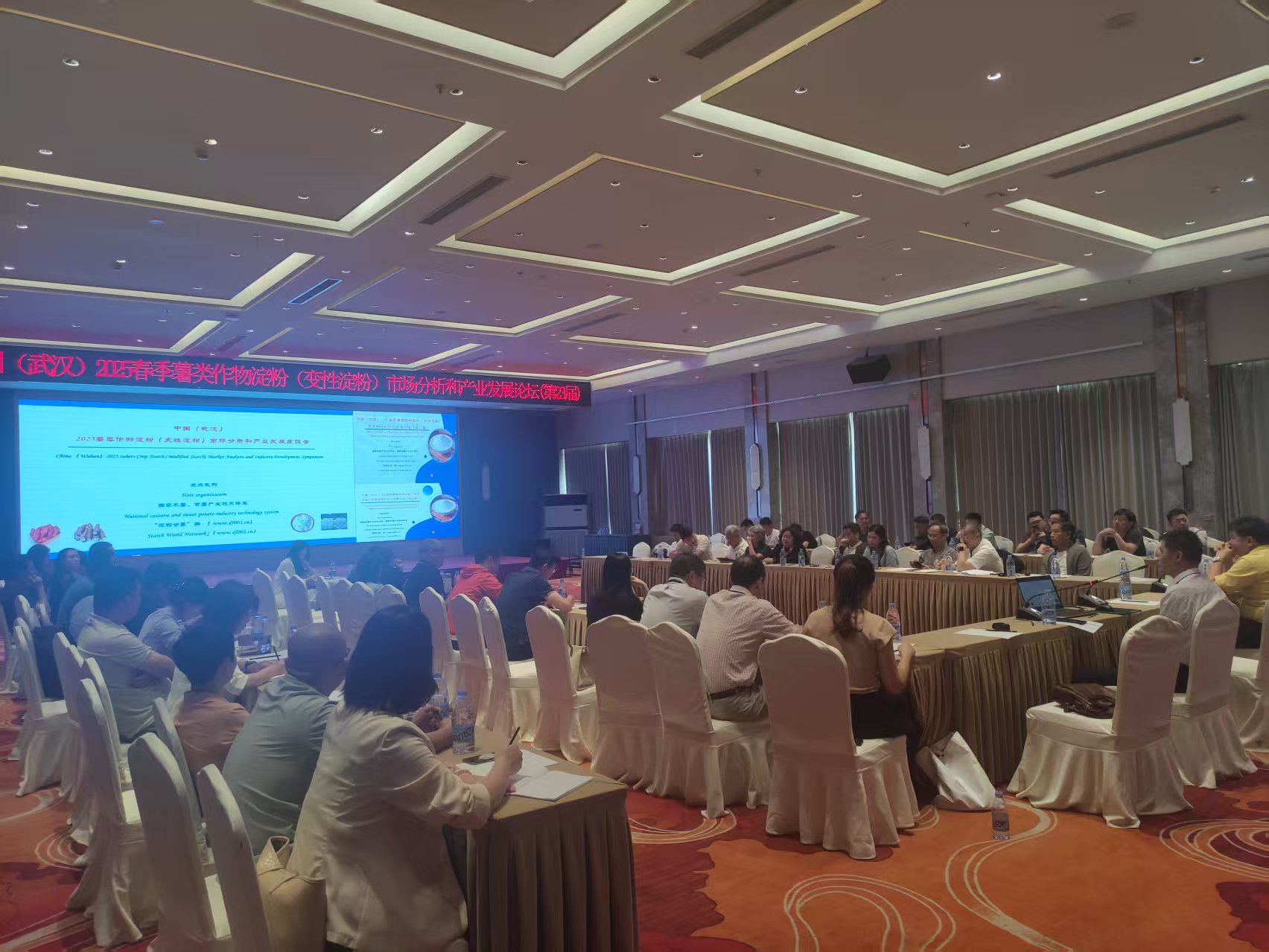 中国（武汉） 2025春季薯类作物淀粉（变性淀粉）市场分析和产业发展论坛（第23